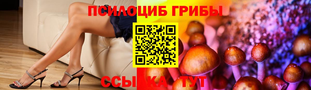 Псилоцибиновые грибы прущие грибы Тихвин